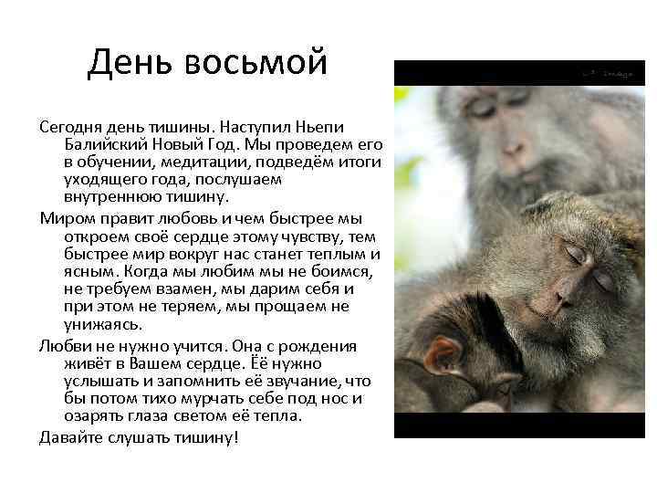 День восьмой Сегодня день тишины. Наступил Ньепи Балийский Новый Год. Мы проведем его в