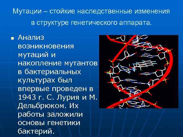 Мутации – стойкие наследственные изменения в структуре генетического аппарата. n Анализ возникновения мутаций и