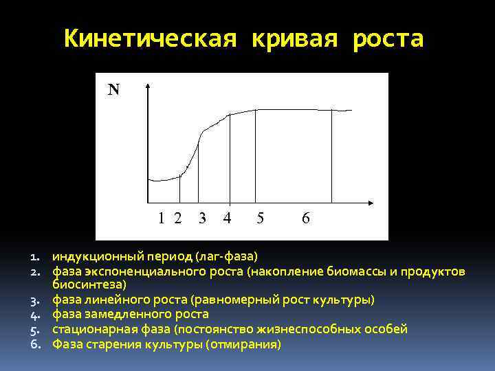Кинетическая кривая роста N 1 2 3 4 5 6 • t 1. индукционный