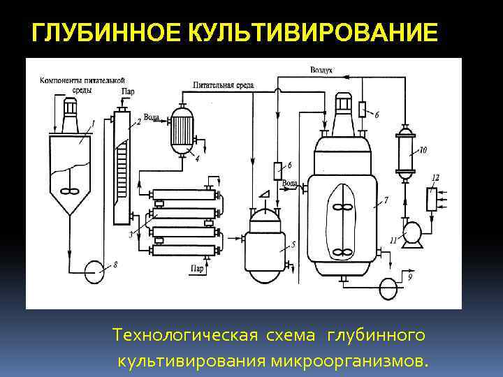 ГЛУБИННОЕ КУЛЬТИВИРОВАНИЕ . Технологическая схема глубинного культивирования микроорганизмов. 