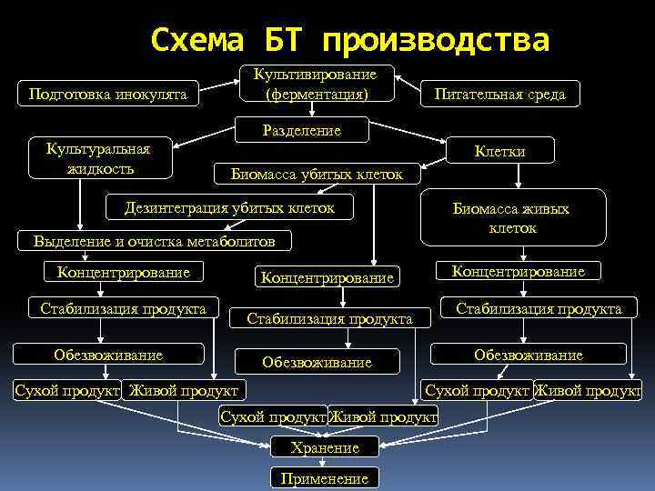 Схема БТ производства Культивирование (ферментация) Подготовка инокулята Питательная среда Разделение Культуральная жидкость Клетки Биомасса