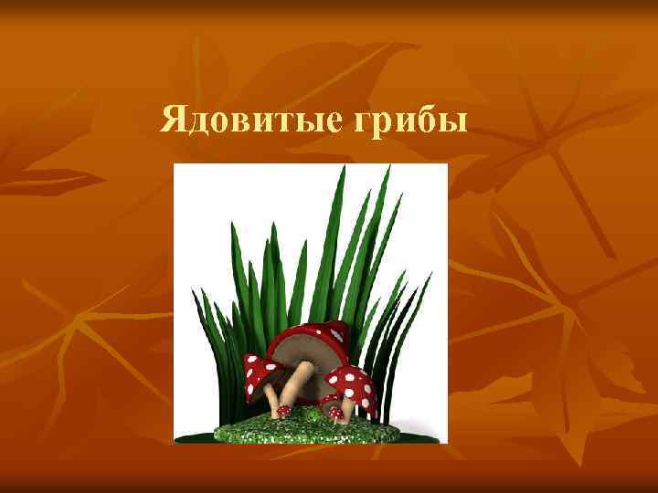 Ядовитые грибы 