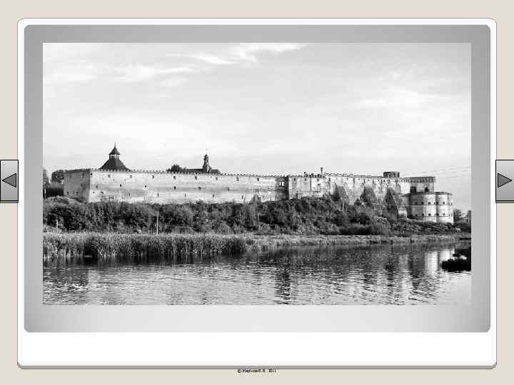 © Жаріков В. В. 2011 