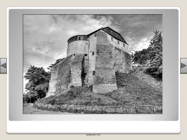 © Жаріков В. В. 2011 