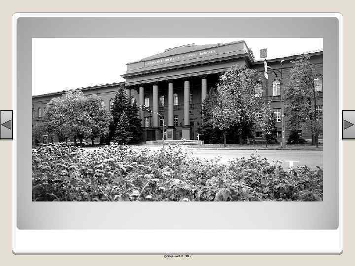 © Жаріков В. В. 2011 