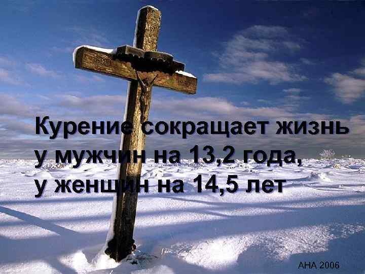 Курение сокращает жизнь у мужчин на 13, 2 года, у женщин на 14, 5