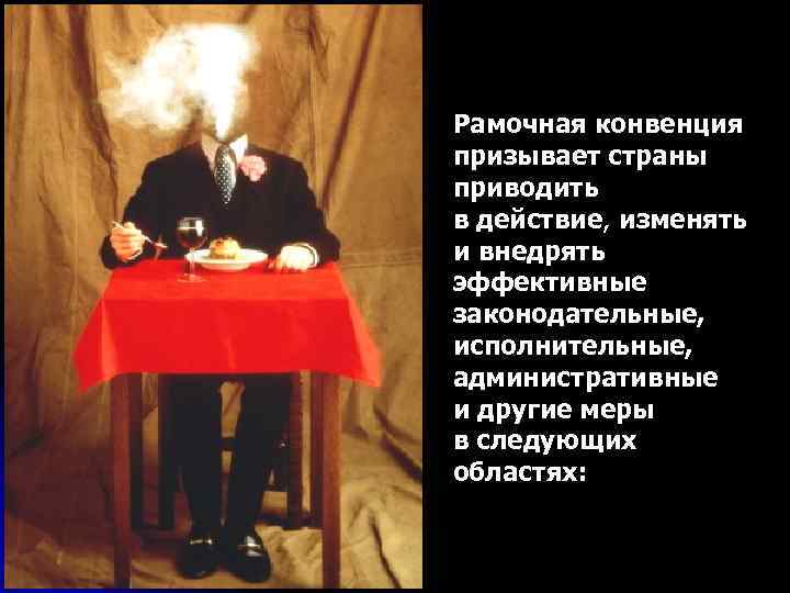 Рамочная конвенция призывает страны приводить в действие, изменять и внедрять эффективные законодательные, исполнительные, административные