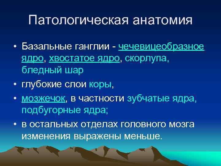 Патологическая анатомия • Базальные ганглии - чечевицеобразное ядро, хвостатое ядро, скорлупа, бледный шар •