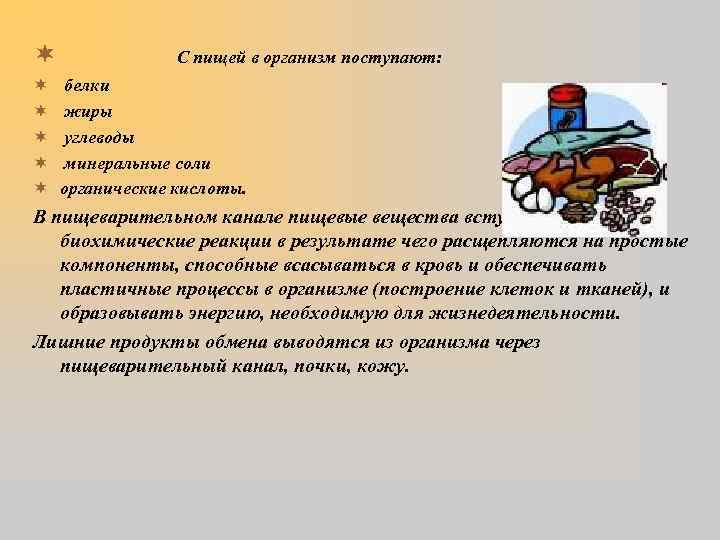 ¬ ¬ ¬ С пищей в организм поступают: белки жиры углеводы минеральные соли органические