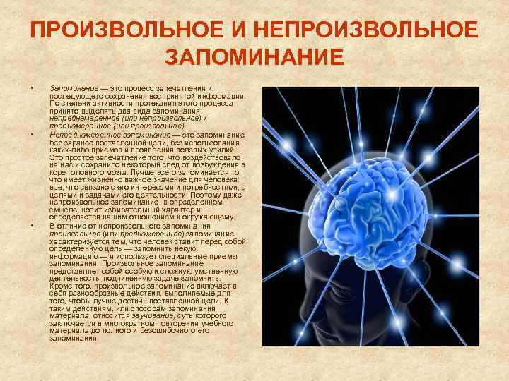 Произвольное запоминание. Произвольное и непроизвольное запоминание. Произвольная и непроизвольная память. Эффективность произвольного и непроизвольного запоминания. Запоминание это в психологии.