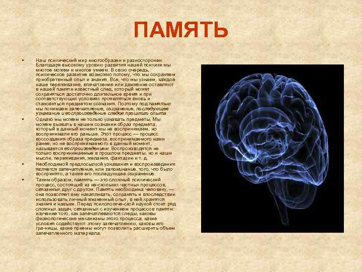 ПАМЯТЬ • • Наш психический мир многообразен и разносторонен. Благодаря высокому уровню развития нашей