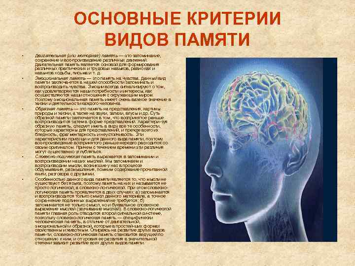 ОСНОВНЫЕ КРИТЕРИИ ВИДОВ ПАМЯТИ • • • Двигательная (или моторная) память — это запоминание,