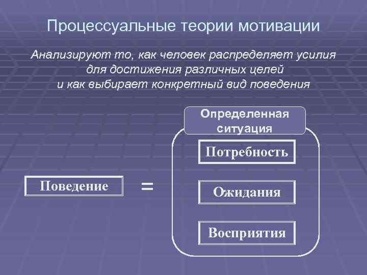 Процессуальные теории мотивации Анализируют то, как человек распределяет усилия для достижения различных целей и