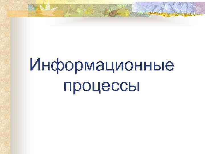 Информационные процессы 