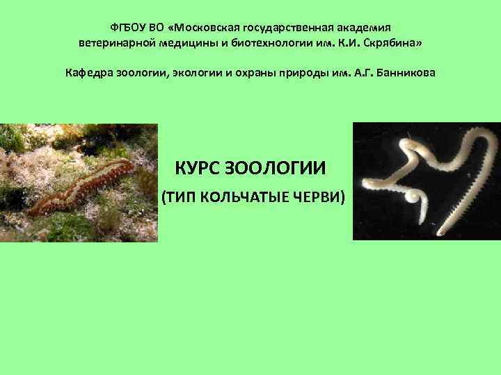 ФГБОУ ВО «Московская государственная академия ветеринарной медицины и биотехнологии им. К. И. Скрябина» Кафедра