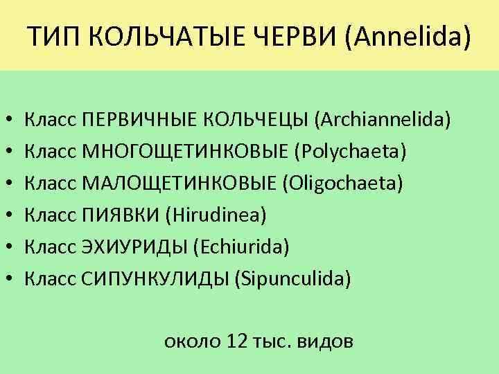ТИП КОЛЬЧАТЫЕ ЧЕРВИ (Annelida) • • • Класс ПЕРВИЧНЫЕ КОЛЬЧЕЦЫ (Archiannelida) Класс МНОГОЩЕТИНКОВЫЕ (Polychaeta)