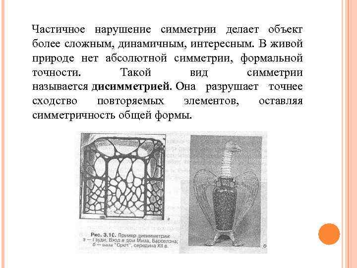 Частичное нарушение симметрии делает объект более сложным, динамичным, интересным. В живой природе нет абсолютной