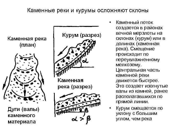 Презентация на тему курумы