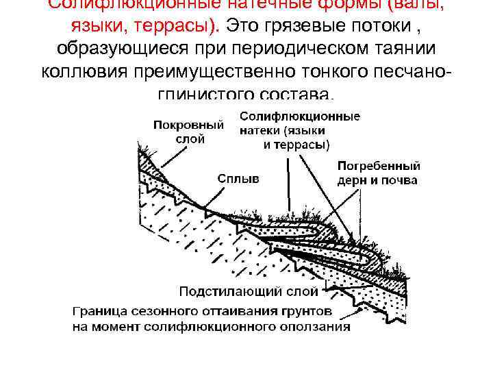 Какие формы рельефа посредством деятельности многолетней мерзлоты. Солифлюкция формы рельефа. Солифлюкция это в геологии. Солифлюкционные отложения. Солифлюкционные террасы.