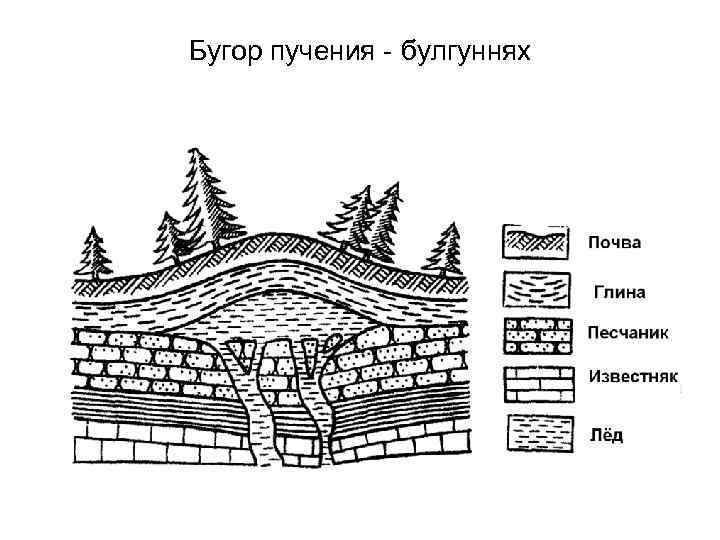 Какие формы рельефа созданы многолетней мерзлотой