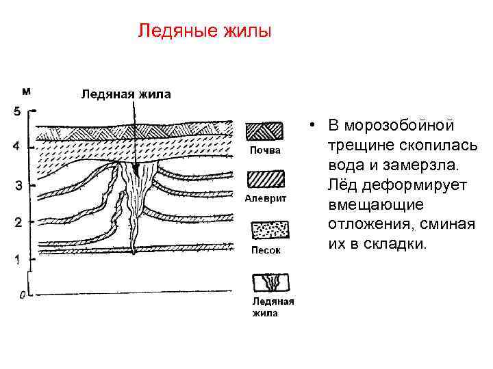 Какие рельефы созданы многолетней мерзлотой. Морозобойное растрескивание формы рельефа. Морозобойные трещины в грунте схема. Ледяные жилы. Мерзлотный рельеф схема.