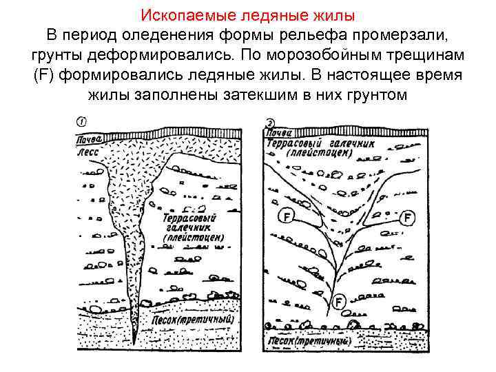 Какие формы рельефа созданы многолетней мерзлотой