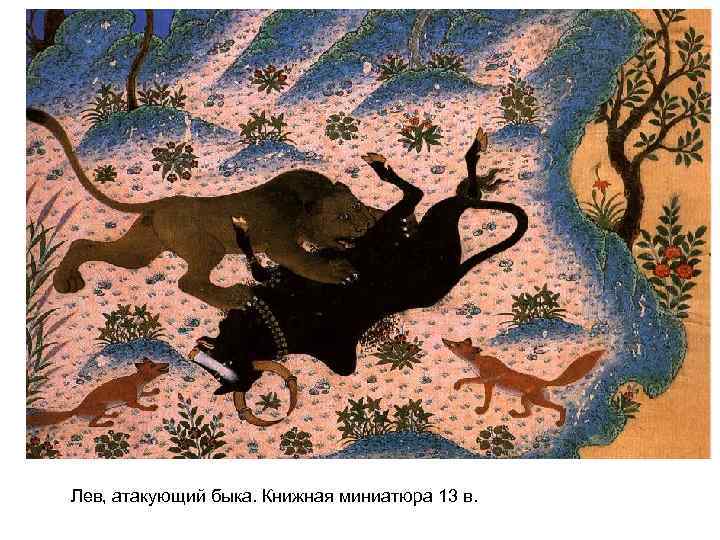 Лев, атакующий быка. Книжная миниатюра 13 в. 