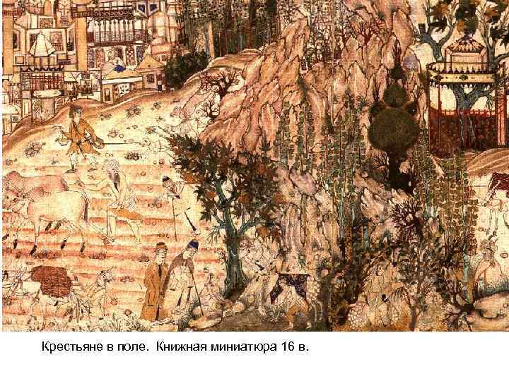 Крестьяне в поле. Книжная миниатюра 16 в. 