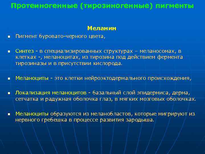 Протеиногенные (тирозиногенные) пигменты Меланин n n n Пигмент буровато черного цвета, Синтез в специализированных