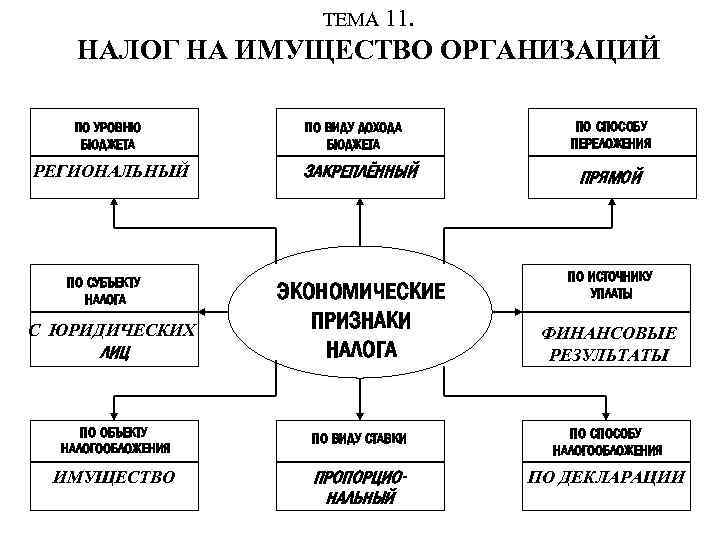 ТЕМА 11. НАЛОГ НА ИМУЩЕСТВО ОРГАНИЗАЦИЙ ПО УРОВНЮ БЮДЖЕТА РЕГИОНАЛЬНЫЙ ПО СУБЪЕКТУ НАЛОГА С