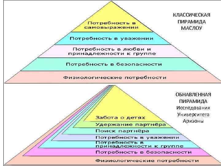 КЛАССИЧЕСКАЯ ПИРАМИДА МАСЛОУ ОБНАВЛЕННАЯ ПИРАМИДА Исследования Университета Аризоны 