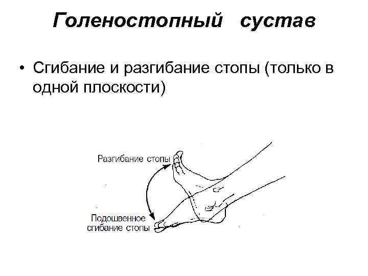 Упор для стоп на кровати обеспечивает их тыльное сгибание под углом в градусах