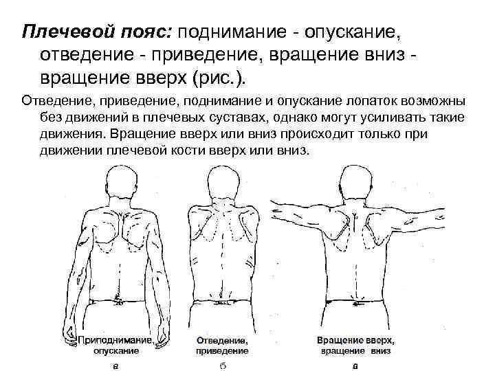 Ограничены движения в плечевых суставах