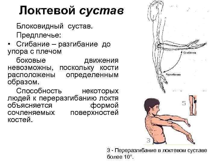 Какой врач лечит локтевые суставы. Отведение конечности во фронтальной плоскости. Локтевой сустав оси движения. Контрактура локтевого сустава на сгибание. Движение в локтевом суставе мышцы.