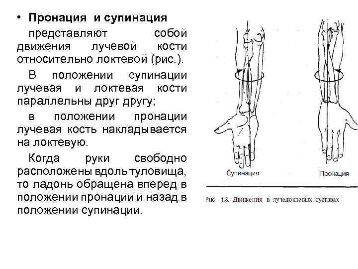 Что представляет собой изображение креста движение кисти правой руки