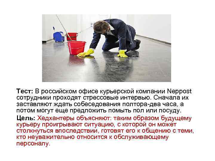 Тест: В российском офисе курьерской компании Neppost сотрудники проходят стрессовые интервью. Сначала их заставляют