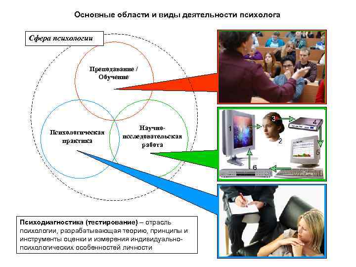 Основные области и виды деятельности психолога Сфера психологии Преподавание / Обучение Психологическая практика Научноисследовательская