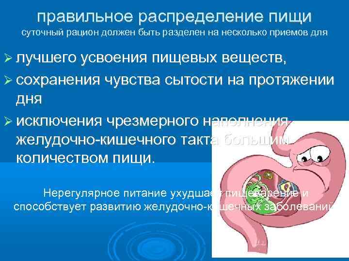 правильное распределение пищи суточный рацион должен быть разделен на несколько приемов для лучшего усвоения