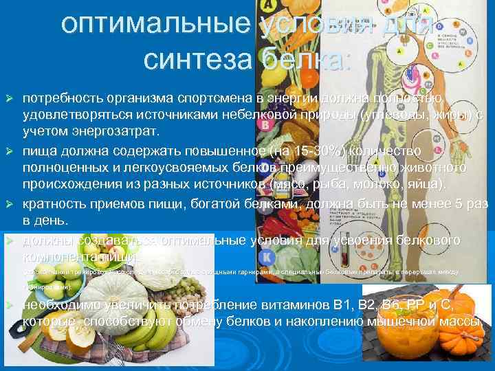 оптимальные условия для синтеза белка: потребность организма спортсмена в энергии должна полностью удовлетворяться источниками