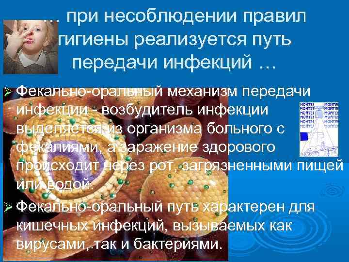 … при несоблюдении правил гигиены реализуется путь передачи инфекций … Фекально-оральный механизм передачи инфекции