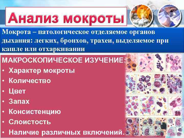 Анализ мокроты Мокрота – патологическое отделяемое органов дыхания: легких, бронхов, трахеи, выделяемое при кашле