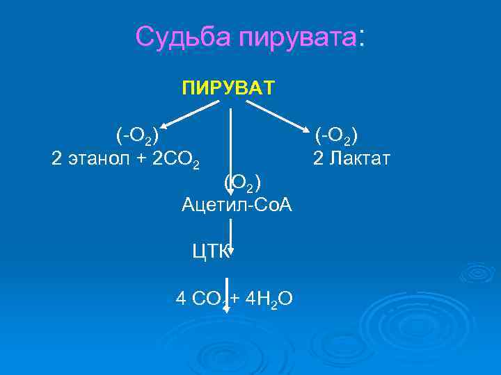 Судьба пирувата: ПИРУВАТ (-О 2) 2 этанол + 2 СО 2 2 Лактат (О