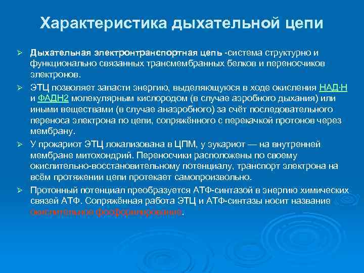 Характеристика дыхательной цепи Дыхательная электронтранспортная цепь -система структурно и функционально связанных трансмембранных белков и