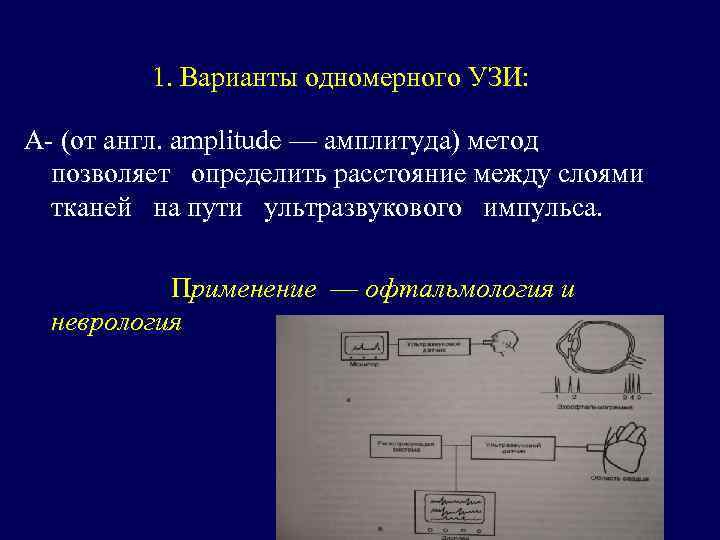 1. Варианты одномерного УЗИ: А- (от англ. amplitude — амплитуда) метод позволяет определить расстояние
