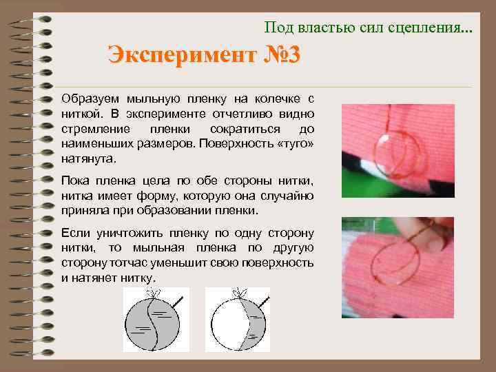 Под властью сил сцепления. . . Эксперимент № 3 Образуем мыльную пленку на колечке