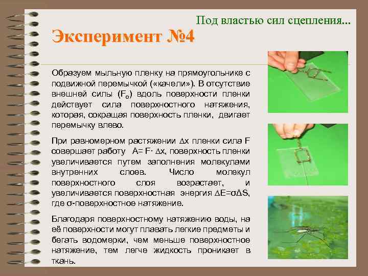 Эксперимент № 4 Под властью сил сцепления. . . Образуем мыльную пленку на прямоугольнике
