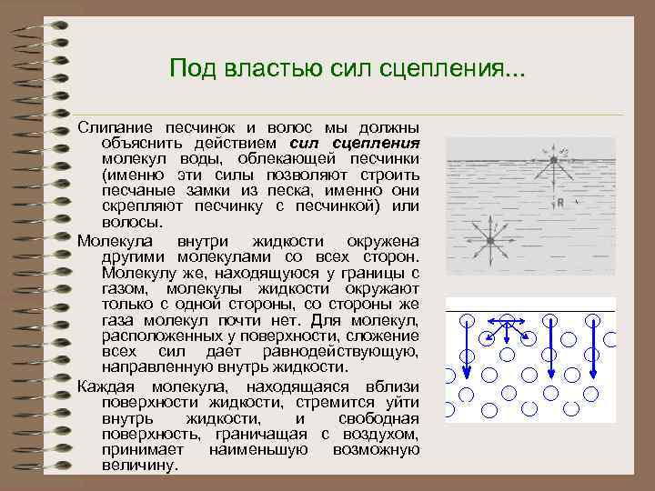 Под властью сил сцепления. . . Слипание песчинок и волос мы должны объяснить действием