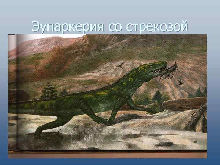 Эупаркерия со стрекозой 