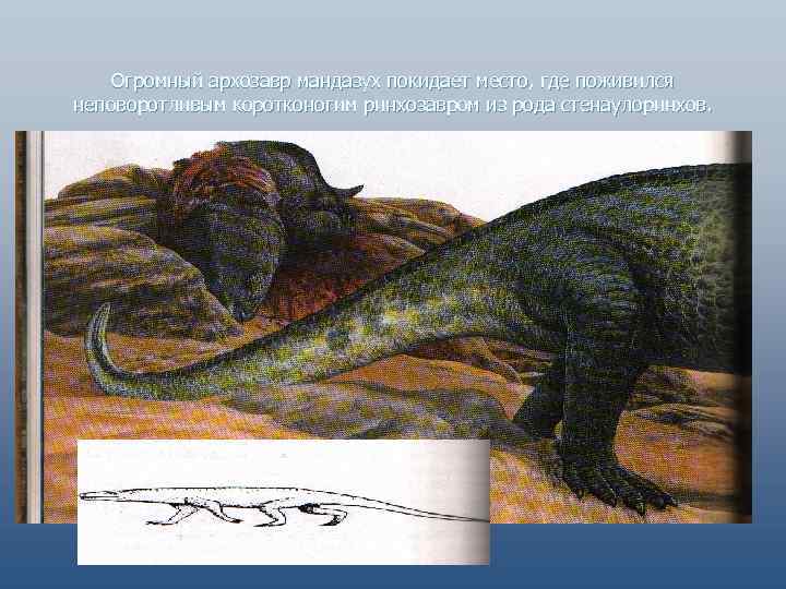 Огромный архозавр мандазух покидает место, где поживился неповоротливым коротконогим ринхозавром из рода стенаулоринхов. 
