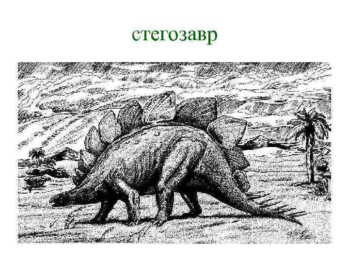 стегозавр 